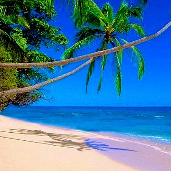 Meet Your Posher. - Picture 3 of 3